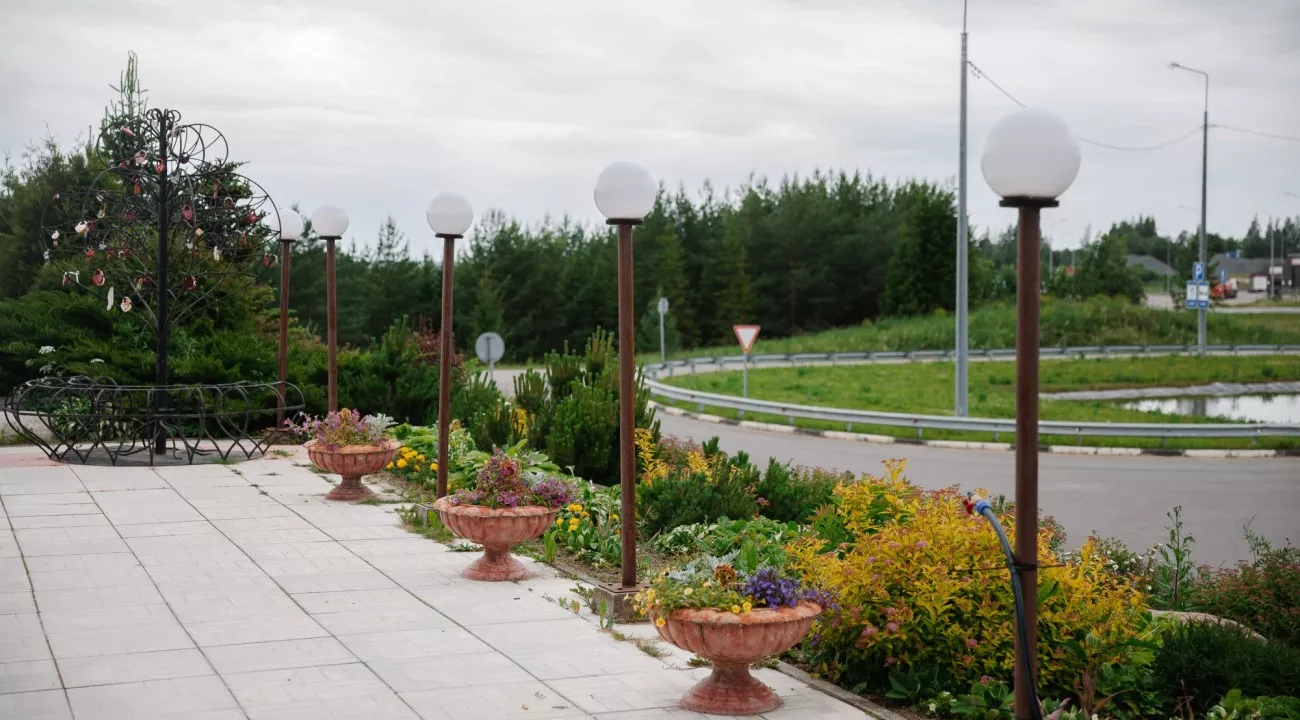 Галерея. Фото 9