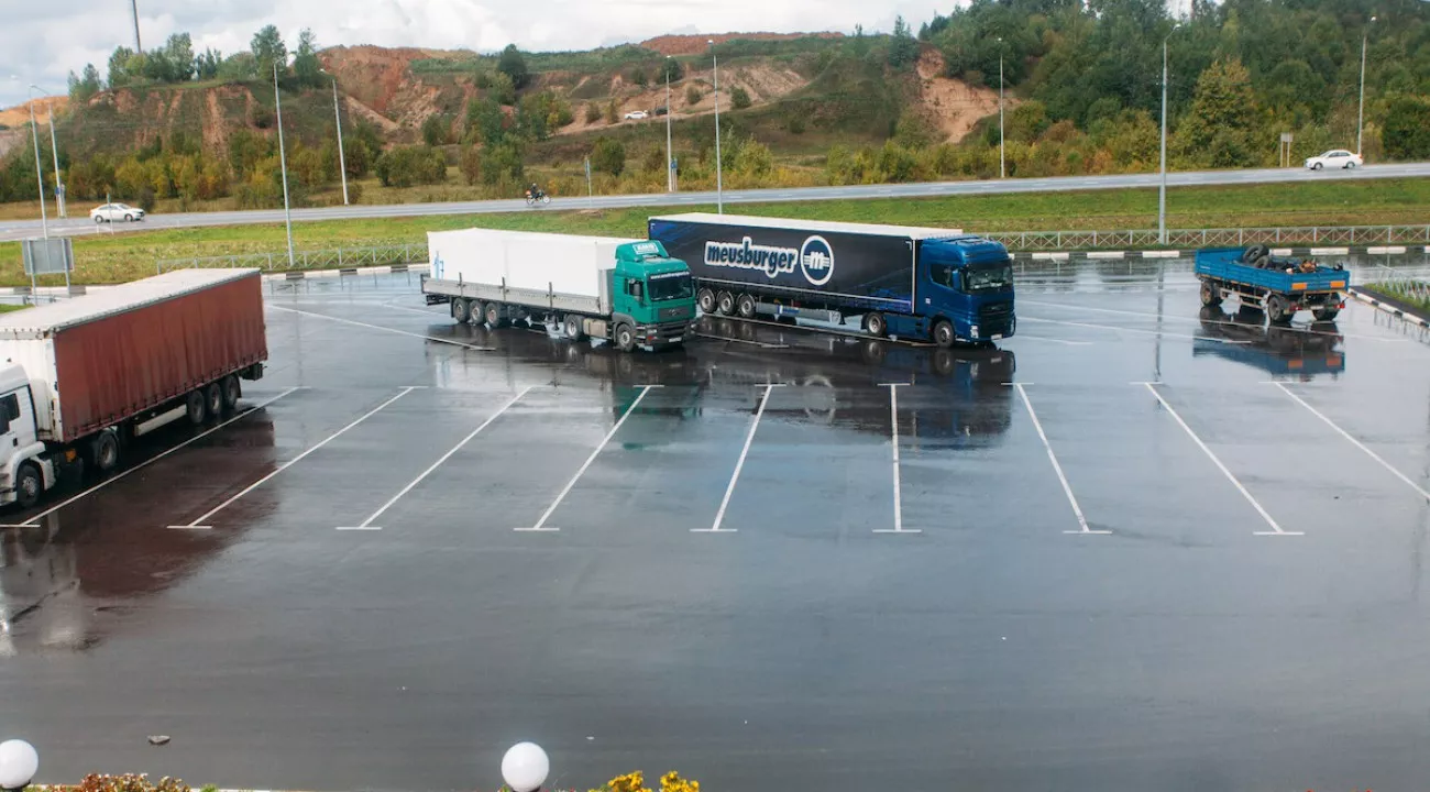 Галерея. Фото 8